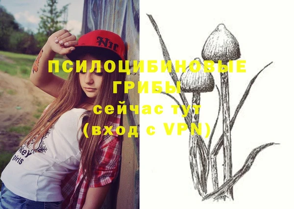 мет Алзамай