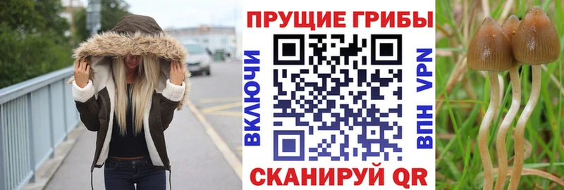 наркотики  Жуковка  Галлюциногенные грибы ЛСД 